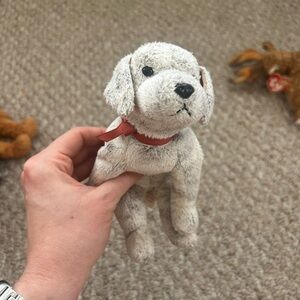 Tricks TY Beanie Baby Dog